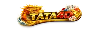 TATA4D LOGO