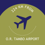 O.R. Tambo airport 4